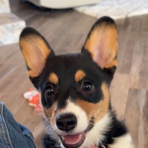 Meet your Posher, Kaylin